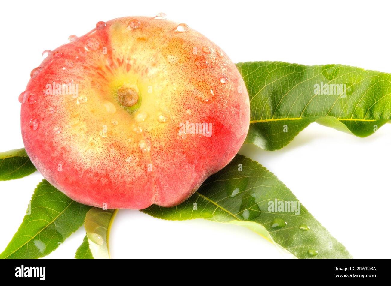 Wet peach with leaf hi-res stock photography and images - Alamy