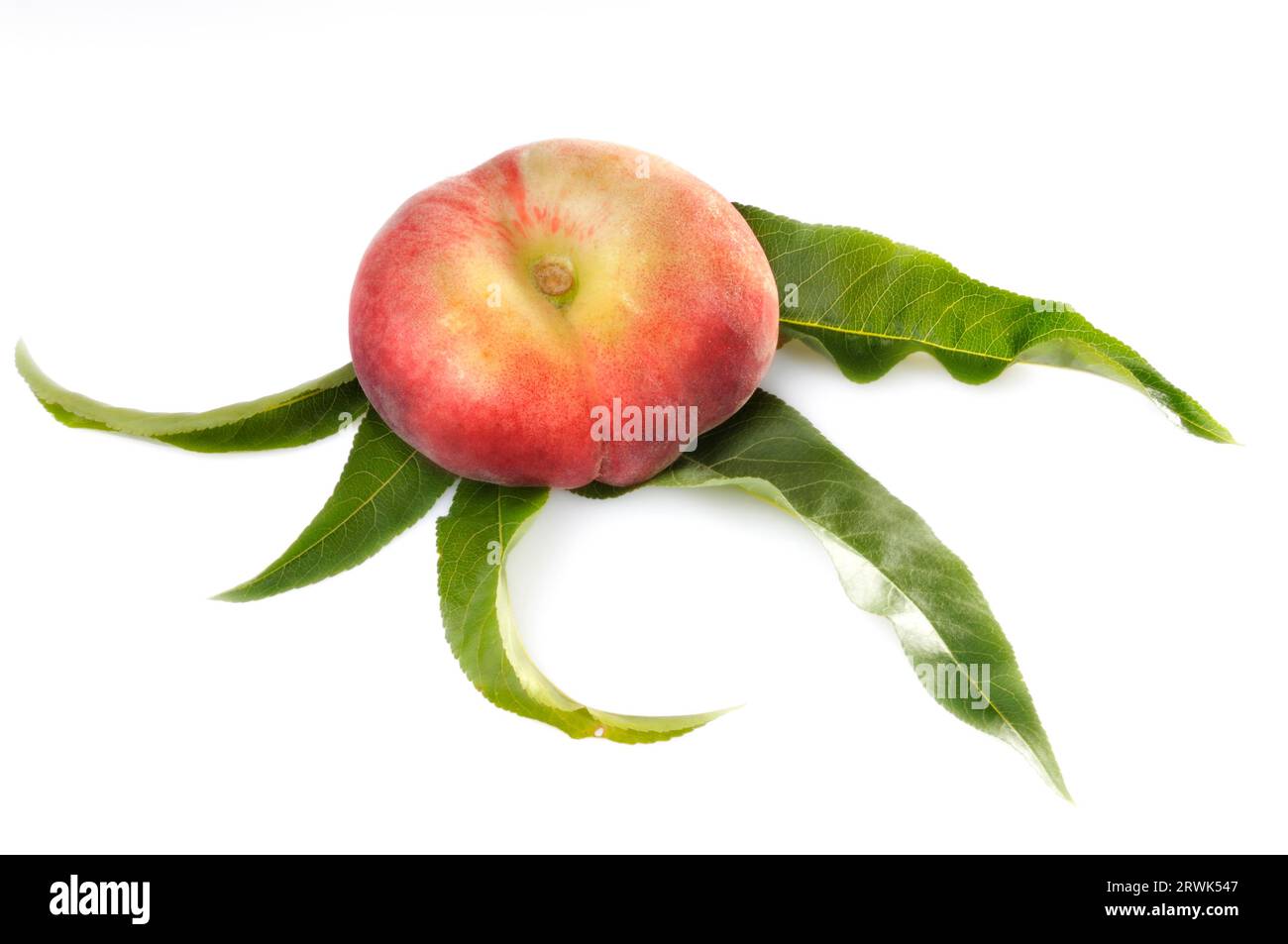 Mountain peach with leaves isolated Stock Photo - Alamy