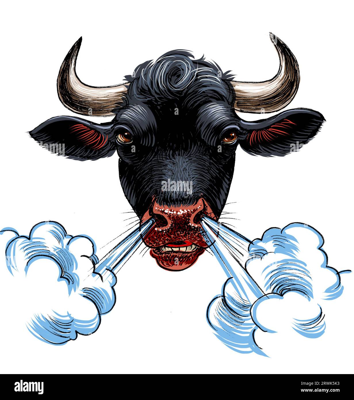 Angry black bull. Ink black and white drawing Stock Photo - Alamy