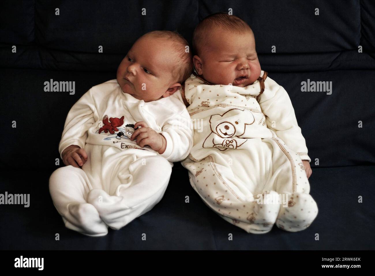 Sleeping babies lying side by side Stock Photo Alamy