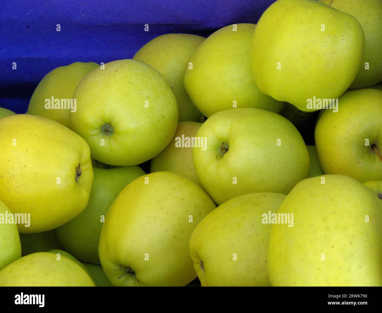 Blue fruit box with yellowgreen Granny Smith apples Stock Photo Alamy