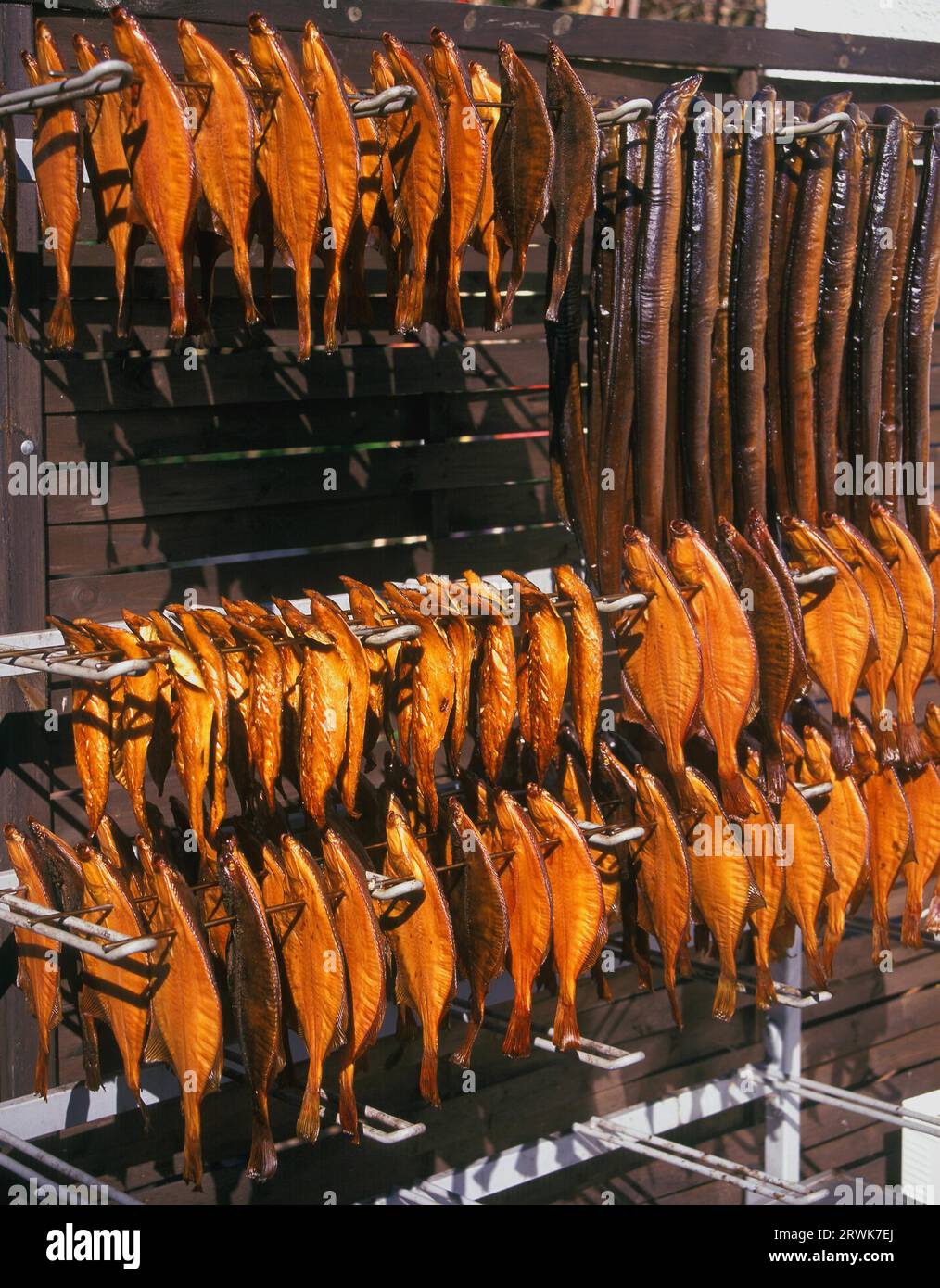 Freshly smoked fish in the smoker Stock Photo Alamy