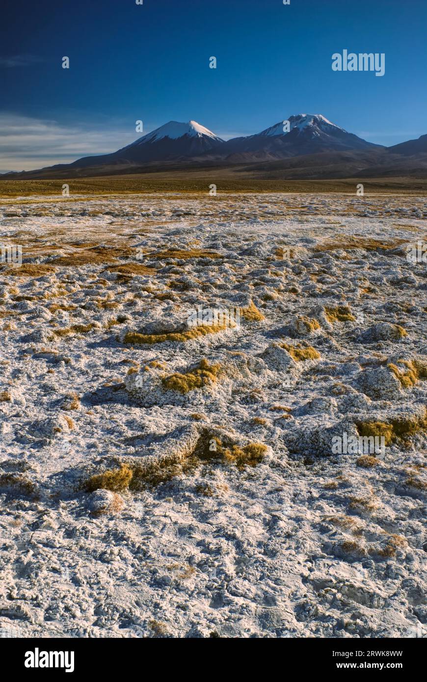 Scenic view of bolivian volcanoes Pomerape and Paranicota, highest peaks in Sajama national park in Bolivia Stock Photo