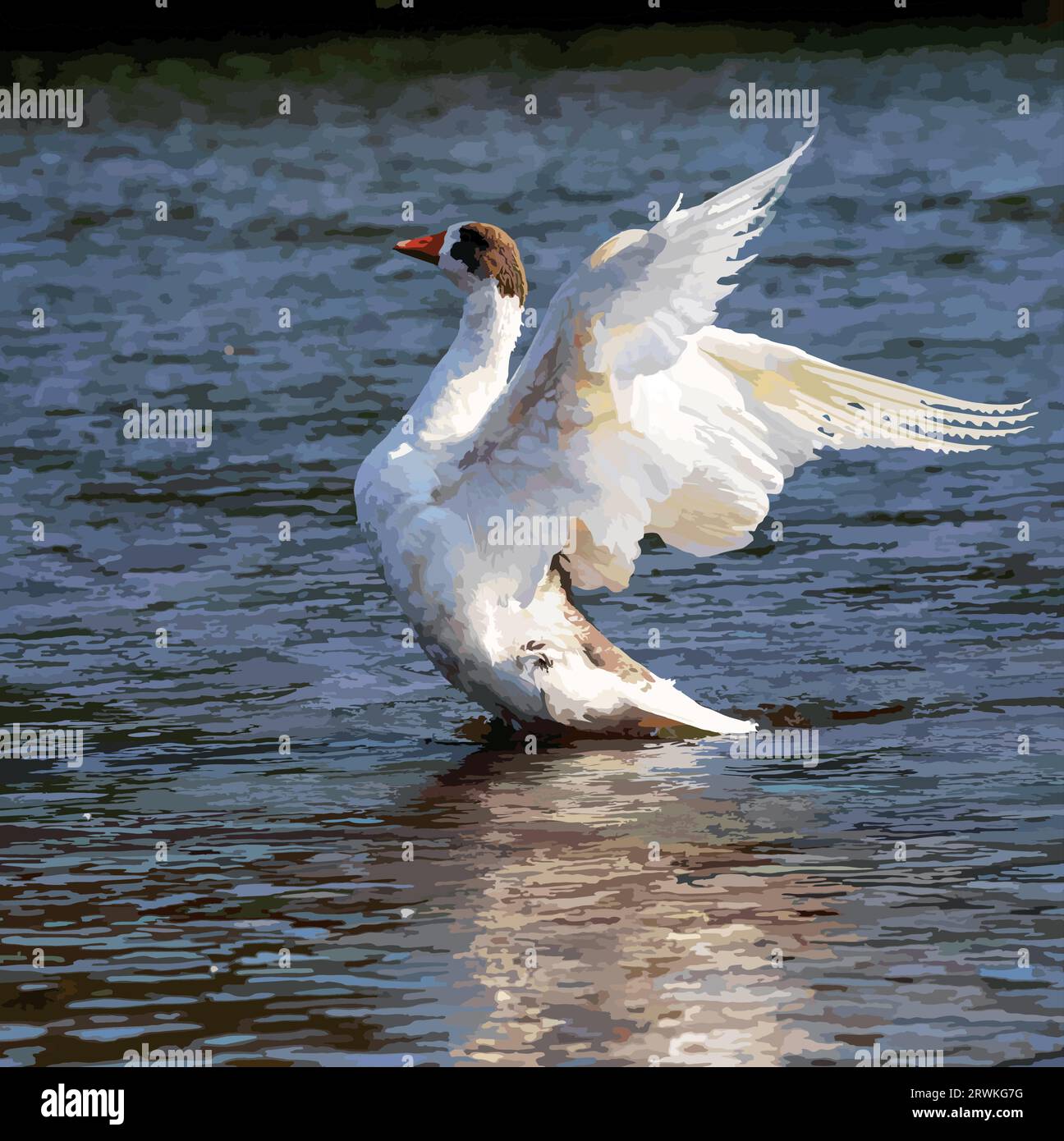 Domestic geese swim in the water. A flock of white beautiful geese in the river. Stock Vector