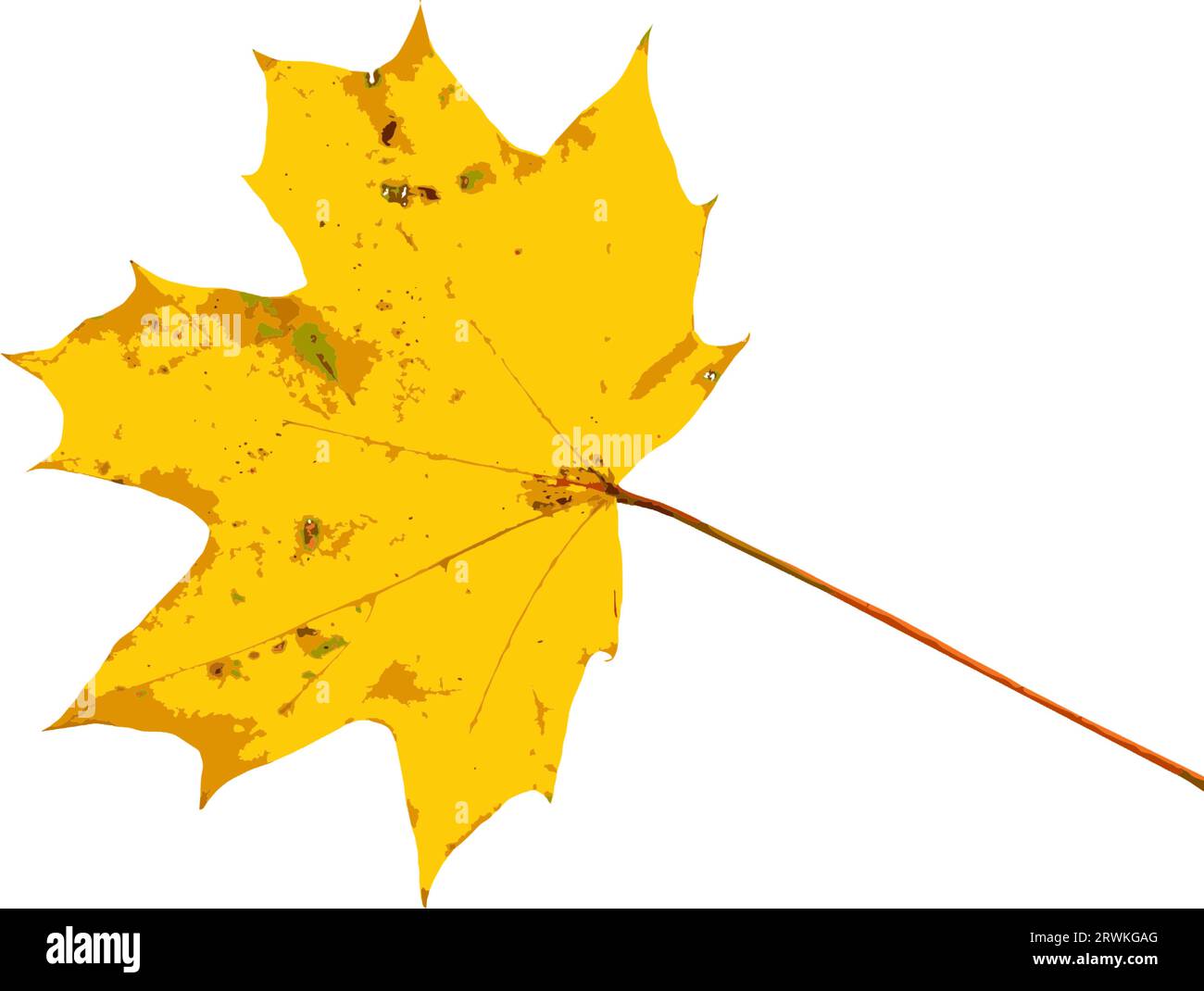 Autumn leaf. Autumn maple leaf isolated on a white background. Vector illustration. Stock Vector