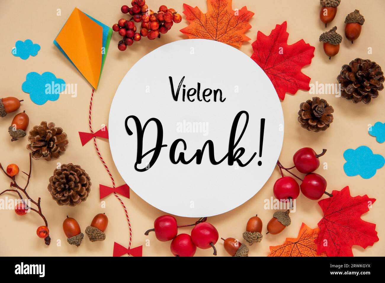 Fall Decoration, Autumn Leaves and Kite, With Text Vielen Dank Stock Photo