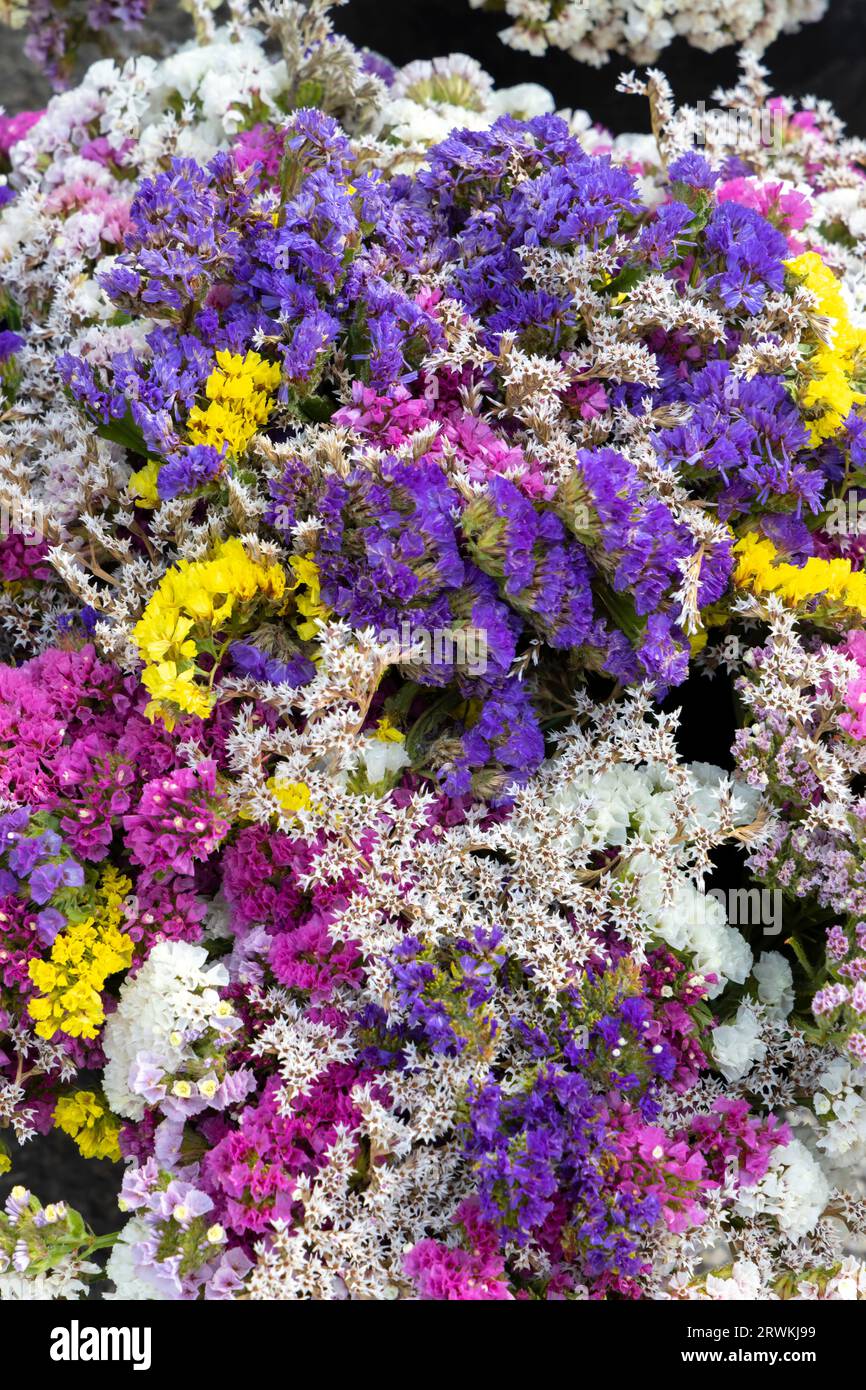 Bunches beautiful dried flowers hi-res stock photography and images - Alamy