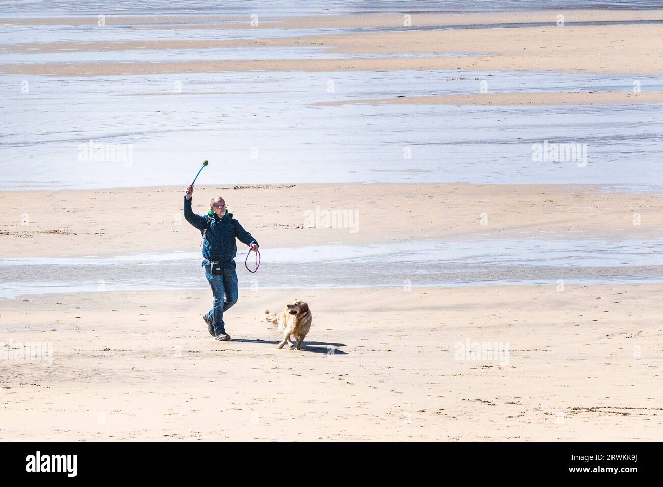 A dog owner using a ball thrower to throw a ball for his pet dog on