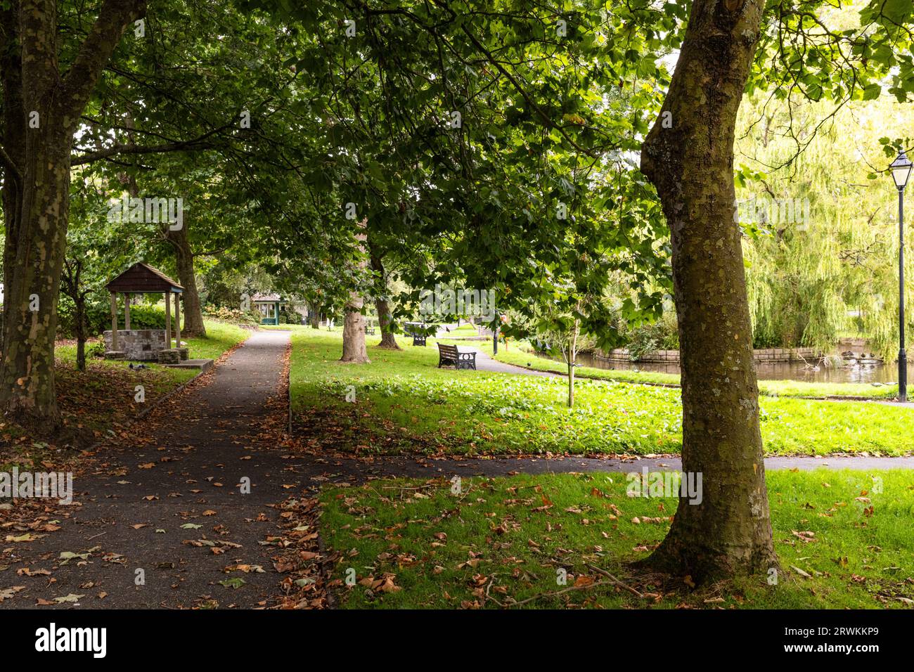 The peaceful leafy Trenance Gardens in Newquay in Cornwall in the UK. Stock Photo