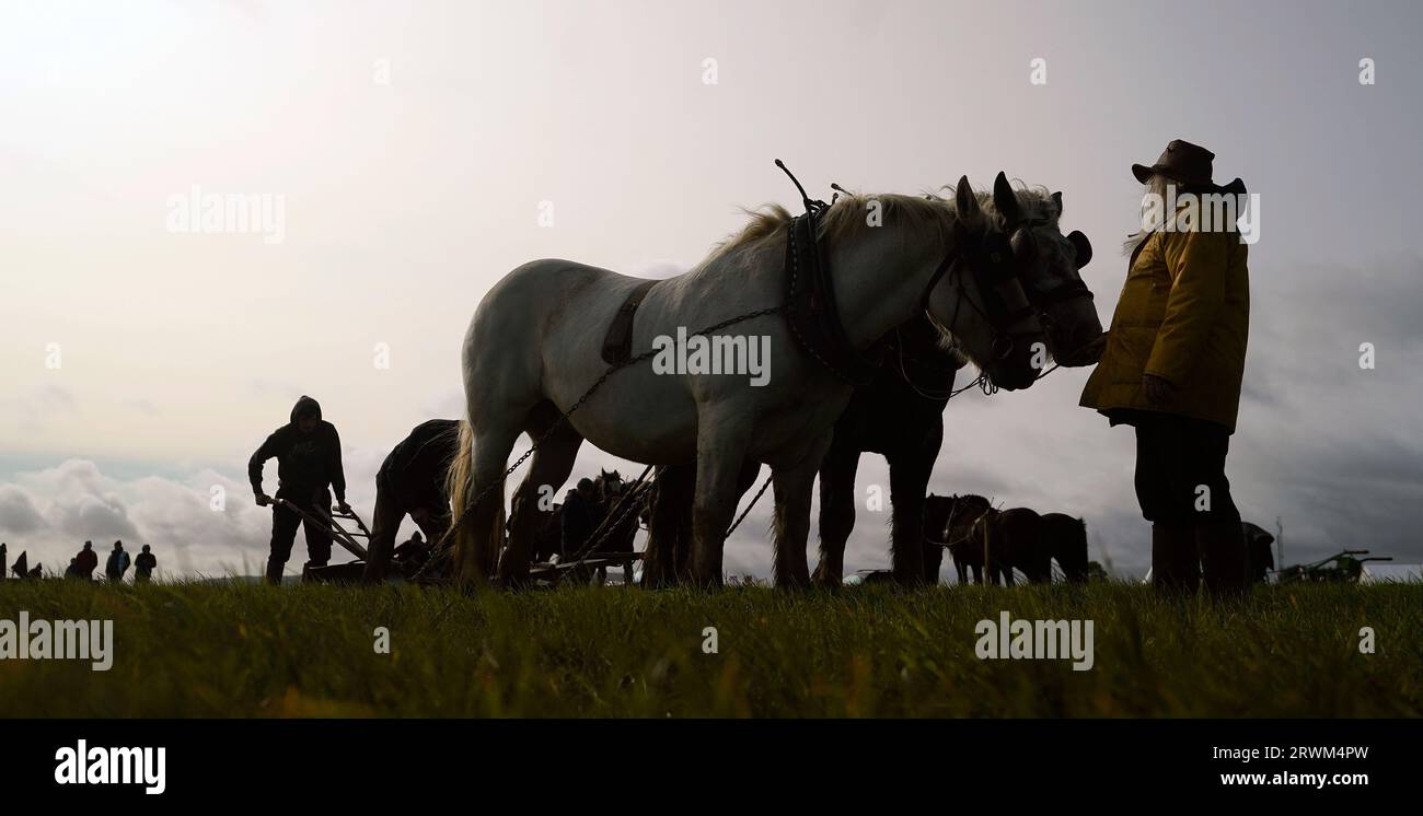 Competitors in the horse ploughing section on day 2 of the National