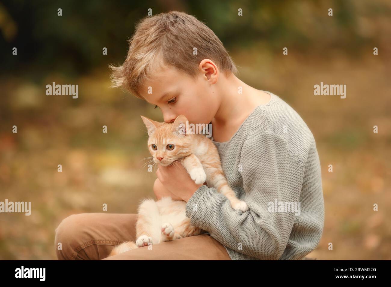 Kid with ginger cat on a autumn background.  Stock Photo