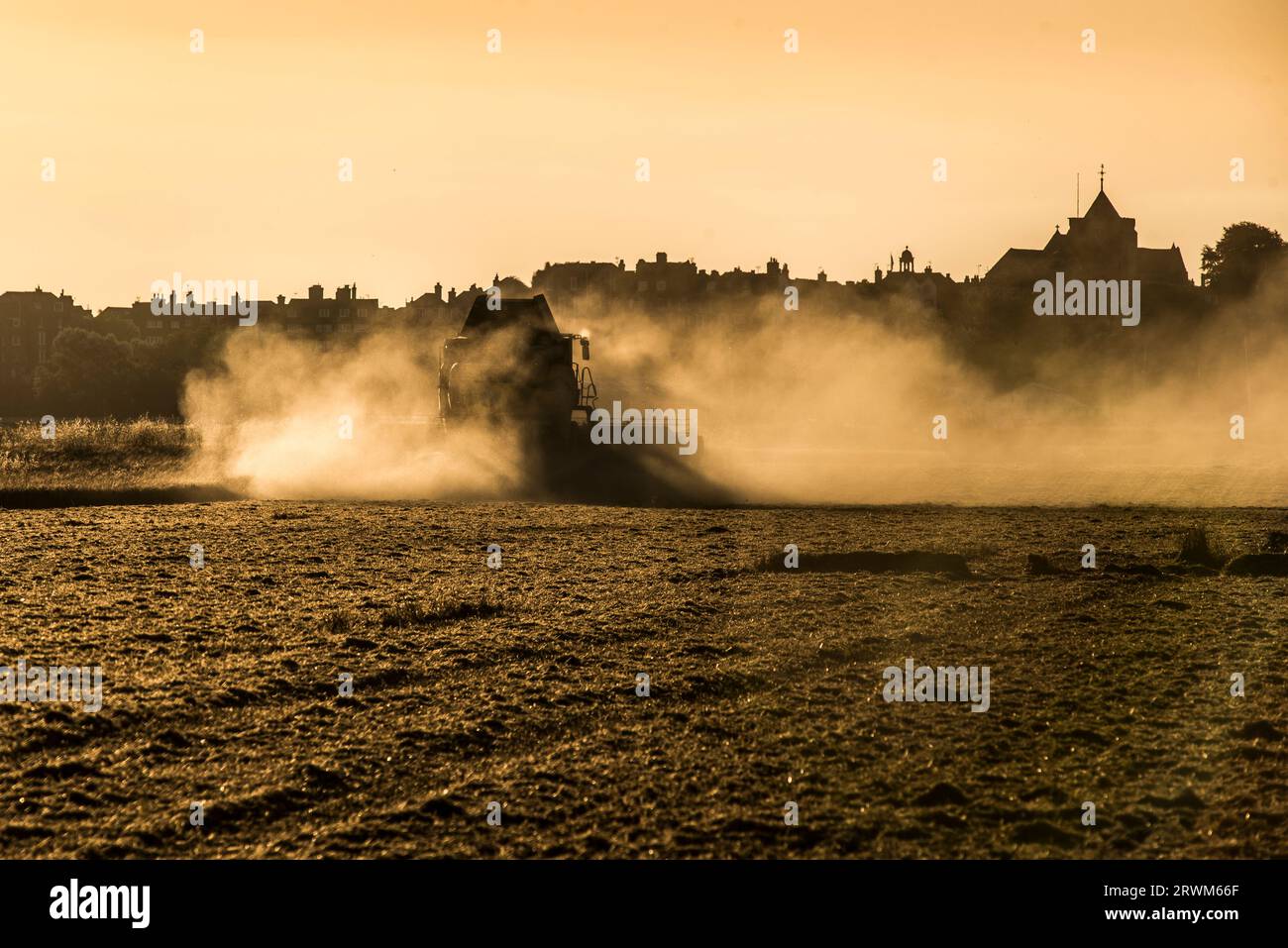 Combine harvester working in wheat field in the evening Stock Photo