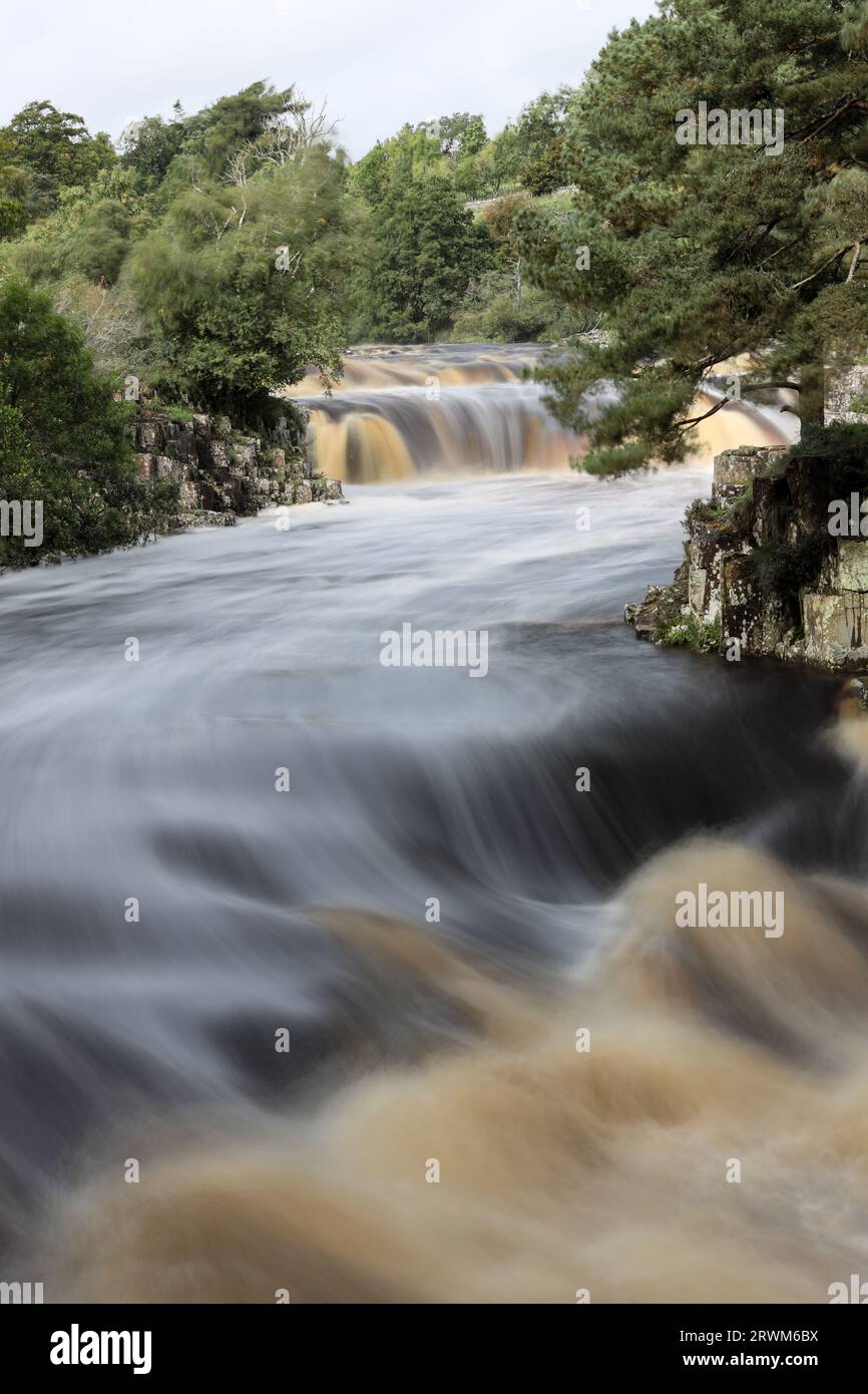 Low Force in Flood after the Remnants of Ex Hurricane Lee Brought Heavy Rain to the Area, River Tees, Bowlees, Teesdale, County Durham, UK Stock Photo