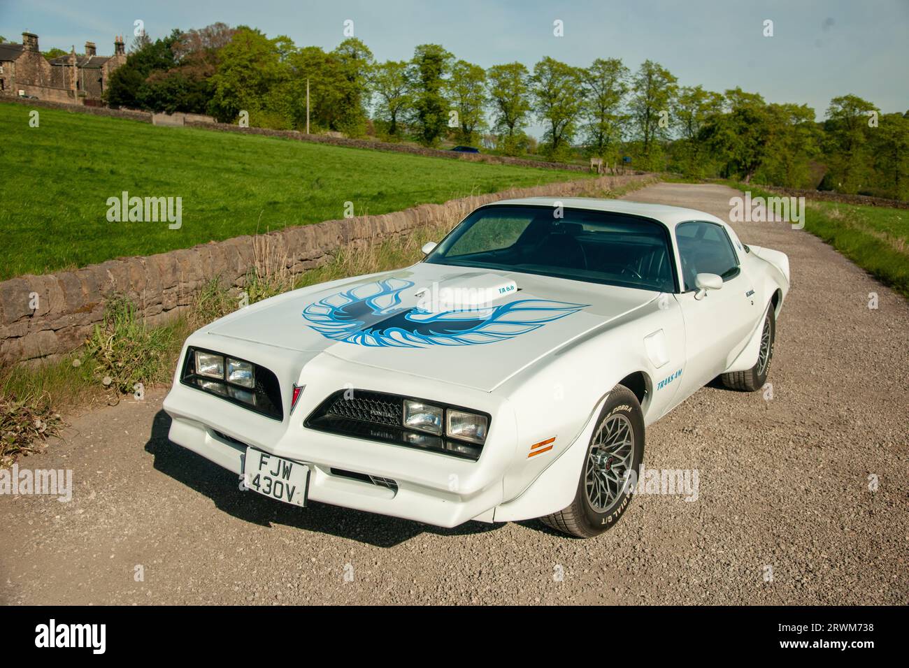 White Pontiac Firebird Trans-Am parked on a gravel lane on a sunny day, with a dry stone wall, farm fields and trees in the background Stock Photo
