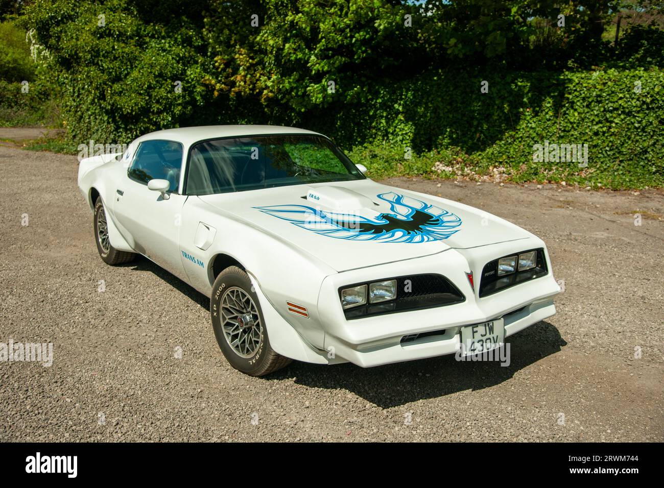 White Pontiac Firebird Trans-Am parked on a gravel track in Summer with trees behind Stock Photo