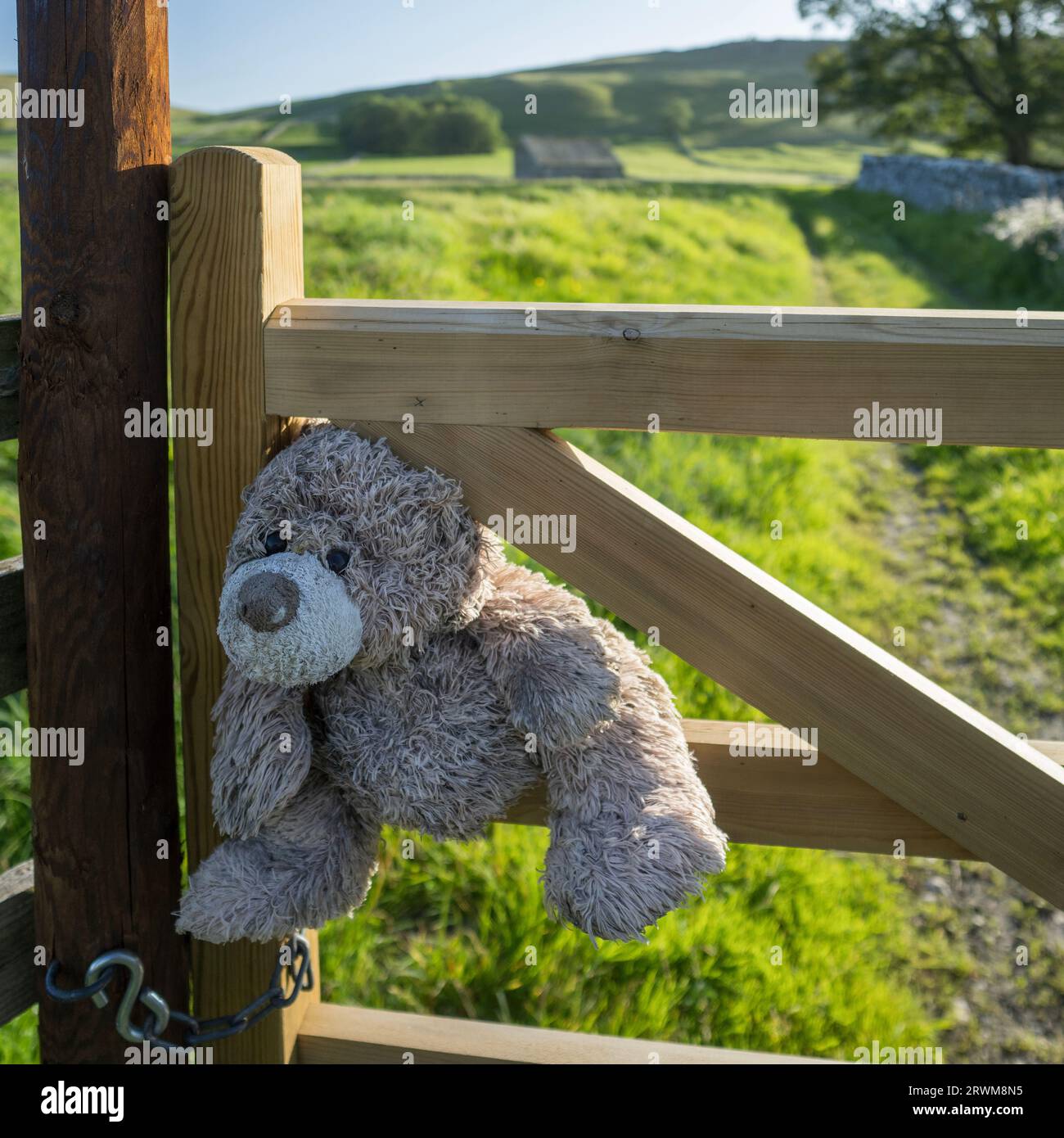 A teddy bear gate keeper Stock Photo