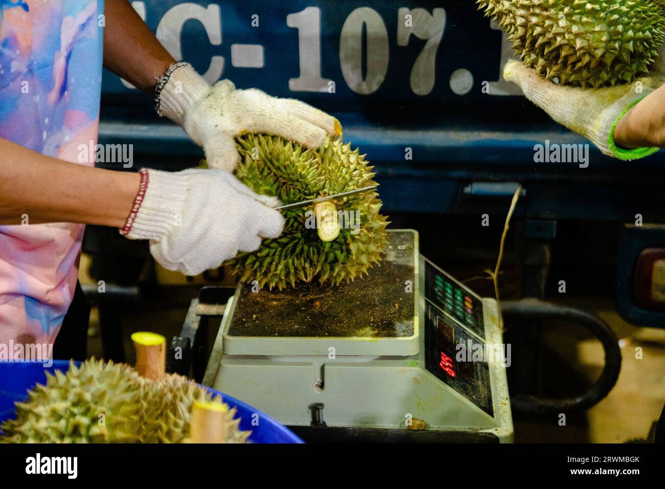 Durian Rind Processing (230920) -- DAK LAK, Sept. 20, 2023 (Xinhua) -- Staff members process ...