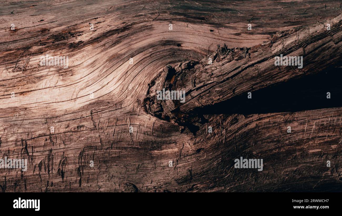 Unique grain patterns hi-res stock photography and images - Alamy