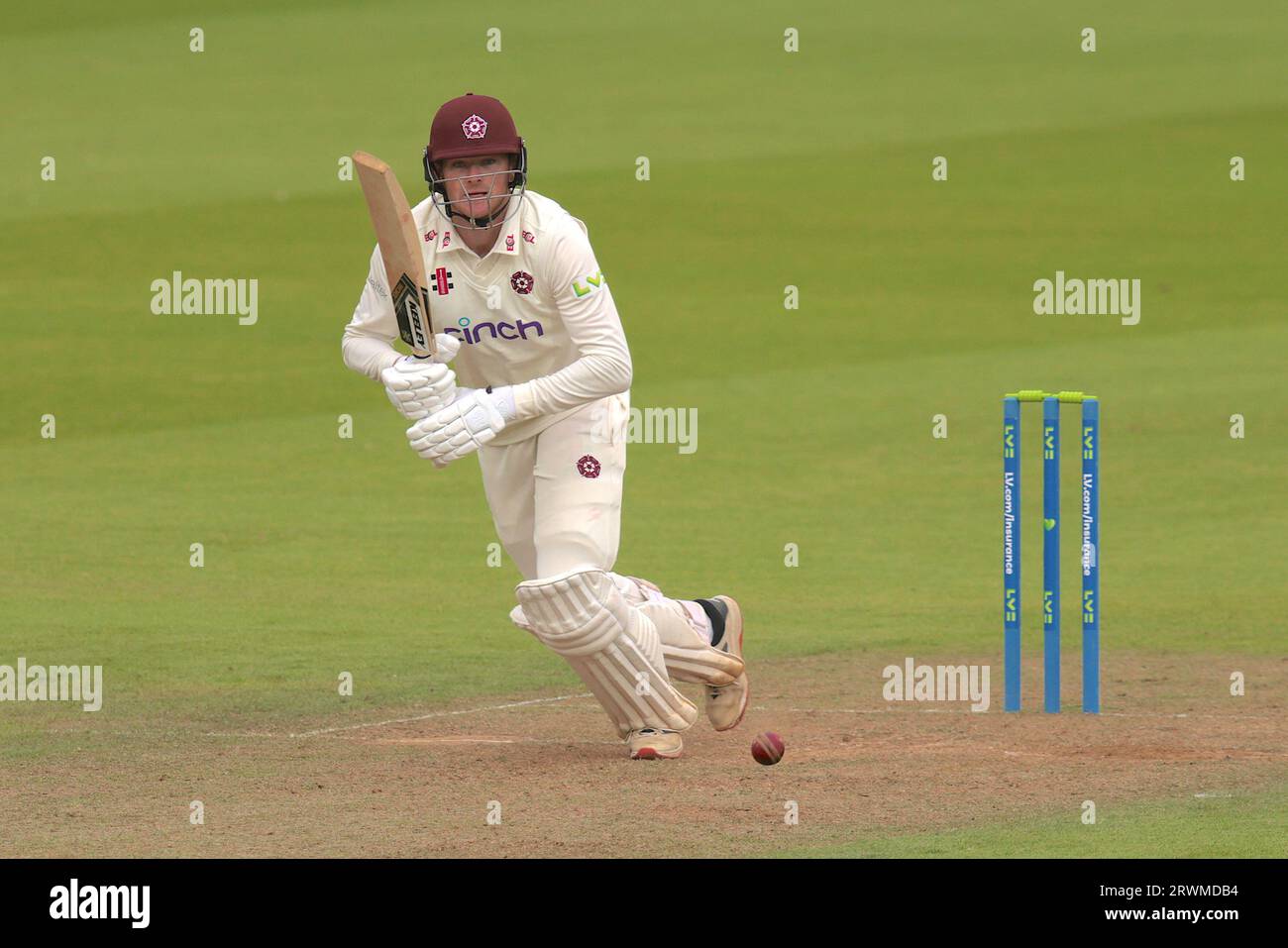 London, UK. 20th Sep, 2023. Northamptonshire's Tom Taylor batting as Surrey take on Northamptonshire in the County Championship at the Kia Oval, day two. Credit: David Rowe/Alamy Live News Stock Photo