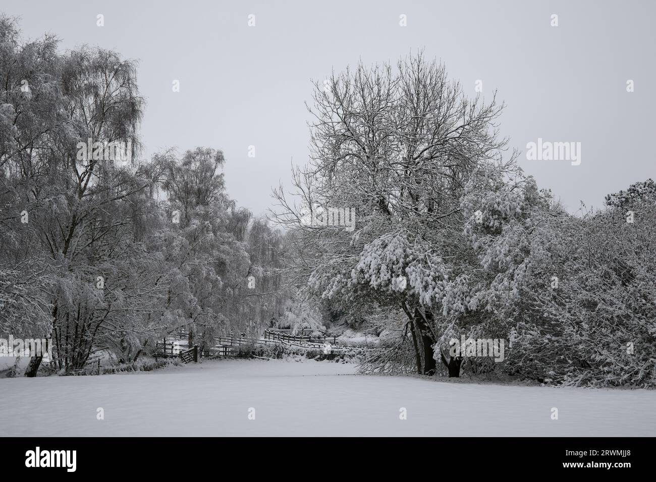 London snow hi-res stock photography and images - Alamy