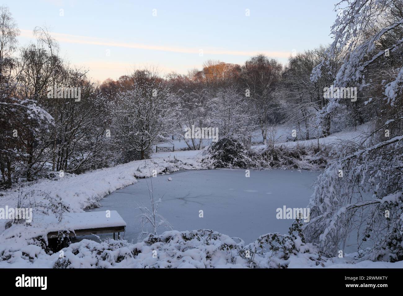 Frozen pond in winter in the United Kingdom Stock Photo Alamy