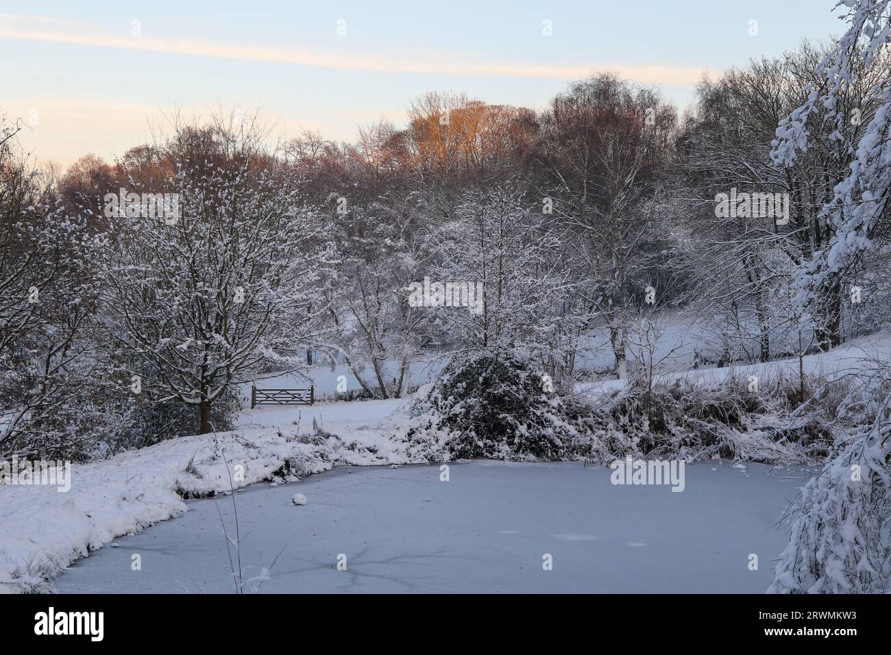 Frozen pond in winter in the United Kingdom Stock Photo Alamy