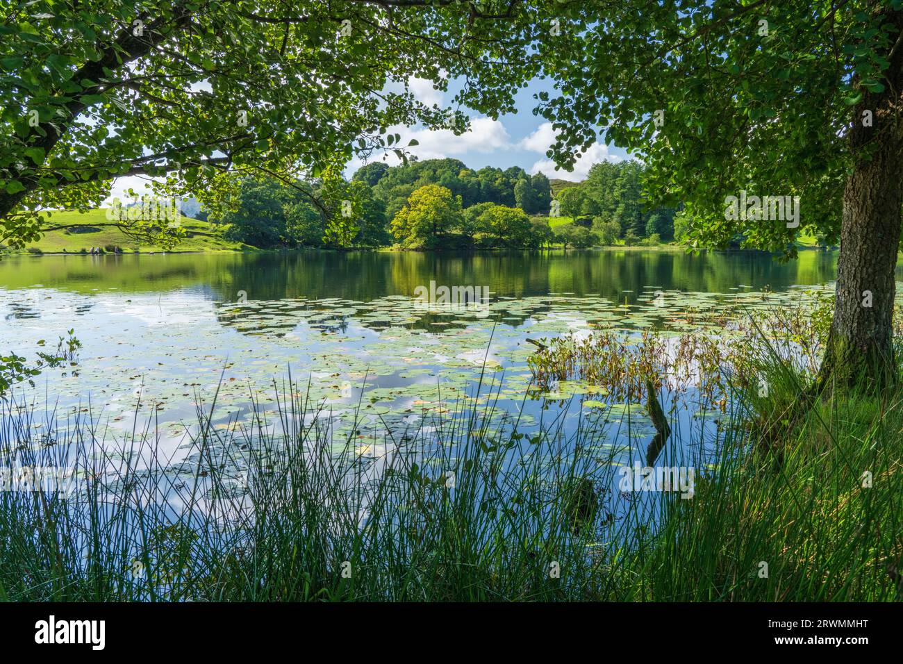 Loughrigg Tarn in early autumn, Near grasmere, The English Lake District, UK Stock Photo
