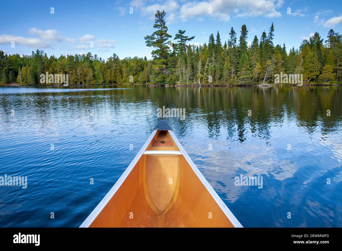 Front of a canoe on a beautiful blue lake with pines and birch on the shore in northern Minnesota Stock Photo