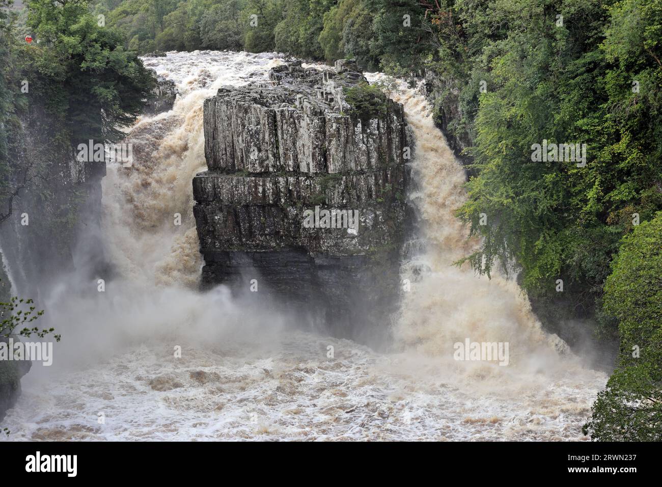 High Force, Teesdale, County Durham, UK. 20th September 2023. UK Weather.  With a yellow weather warning in force heavy rain continues to affect rivers in Northern England. This was High Force this afternoon with floodwater thundering over the falls. Credit: David Forster/Alamy Live News Stock Photo