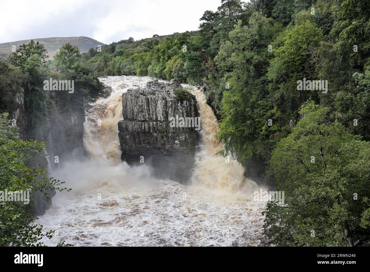 High Force, Teesdale, County Durham, UK. 20th September 2023. UK Weather.  With a yellow weather warning in force heavy rain continues to affect rivers in Northern England. This was High Force this afternoon with floodwater thundering over the falls. Credit: David Forster/Alamy Live News Stock Photo