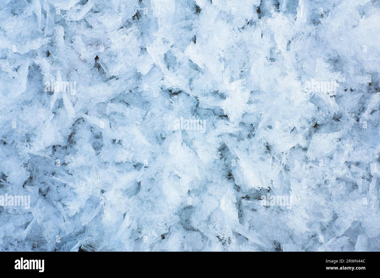 Blue winter background frost hi-res stock photography and images - Alamy