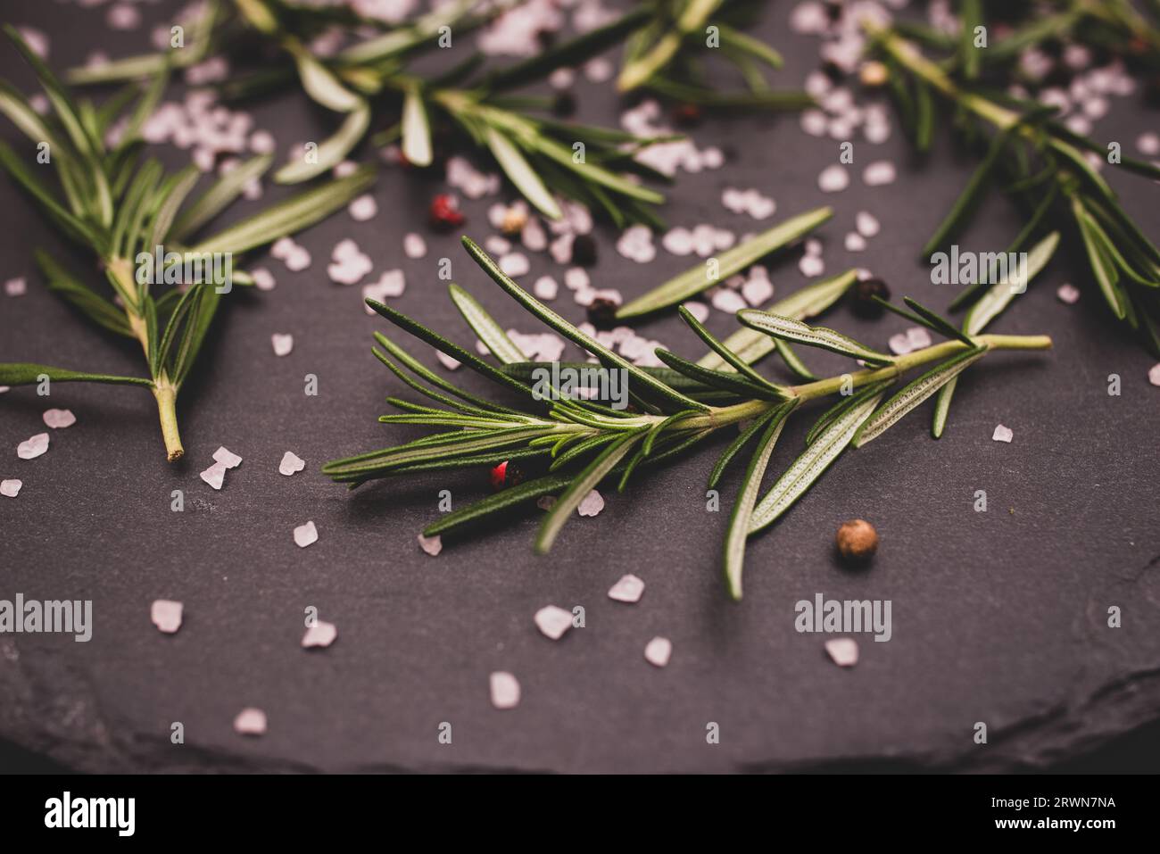 close-up bouquet of rosemary green plants on the table on a black granite plate, scattered Himalayan pink salt and black peppercorns Stock Photo