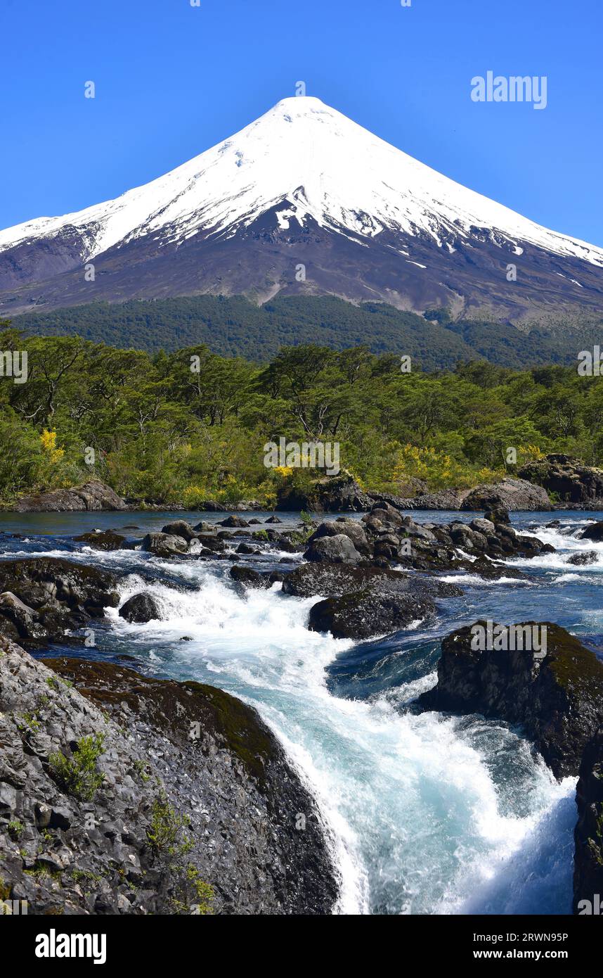Bosque templado hi-res stock photography and images - Alamy