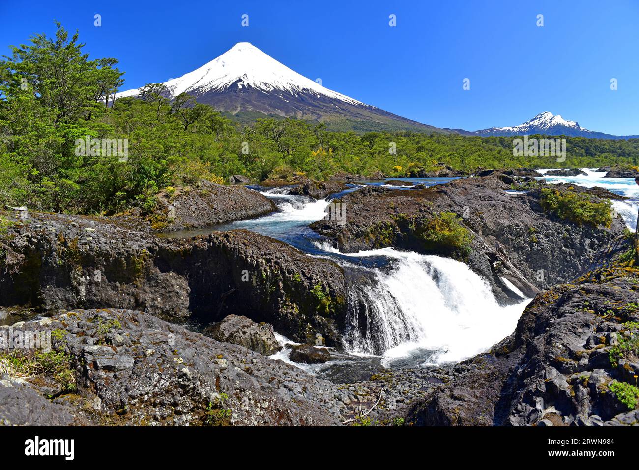 Bosque templado hi-res stock photography and images - Alamy