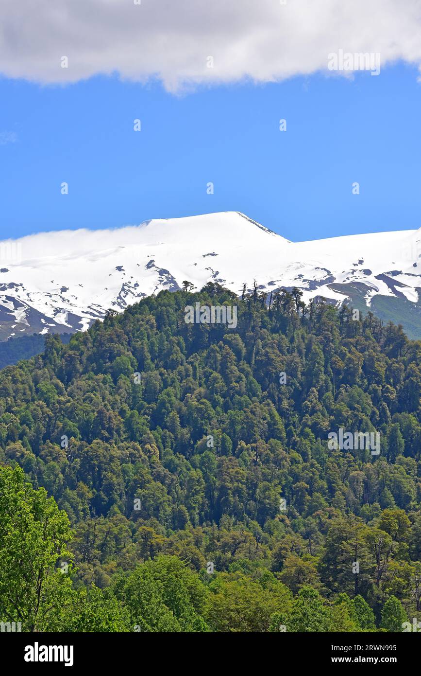 Mocho-Choshuenco volcano (stratovolcano). Panguipulli, Valdivia province, Region de Los Rios, Chile. Stock Photo