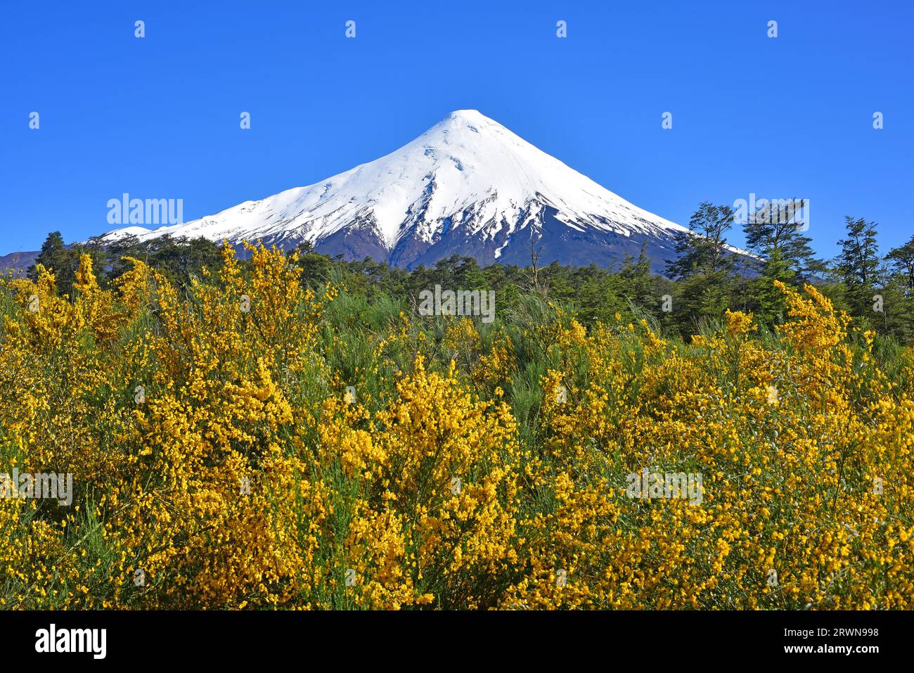 Osorno volcano (stratovolcano). Region de Los Lagos, Chile. Stock Photo