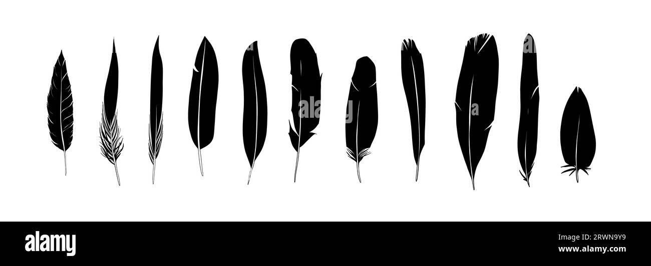 Feathers silhouettes set. Black and white realistic vector illustration ...