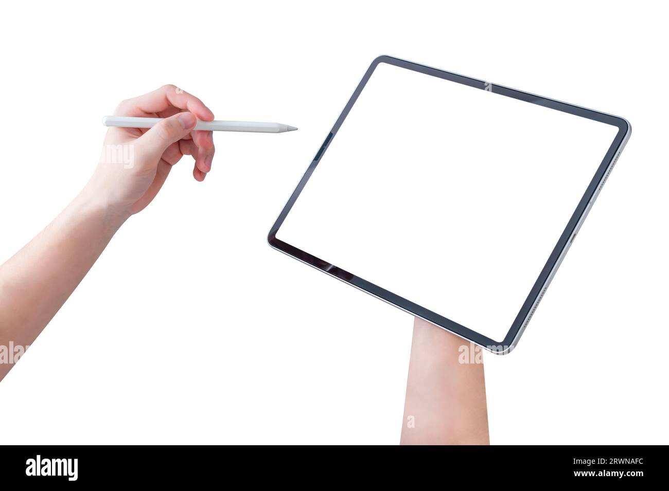 Hand holding tablet with blank screen and using stylus pen isolated on