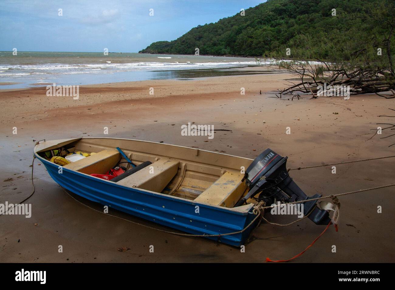 Cow Bay, Daintree National Park, Queensland, Australia Stock Photo Alamy
