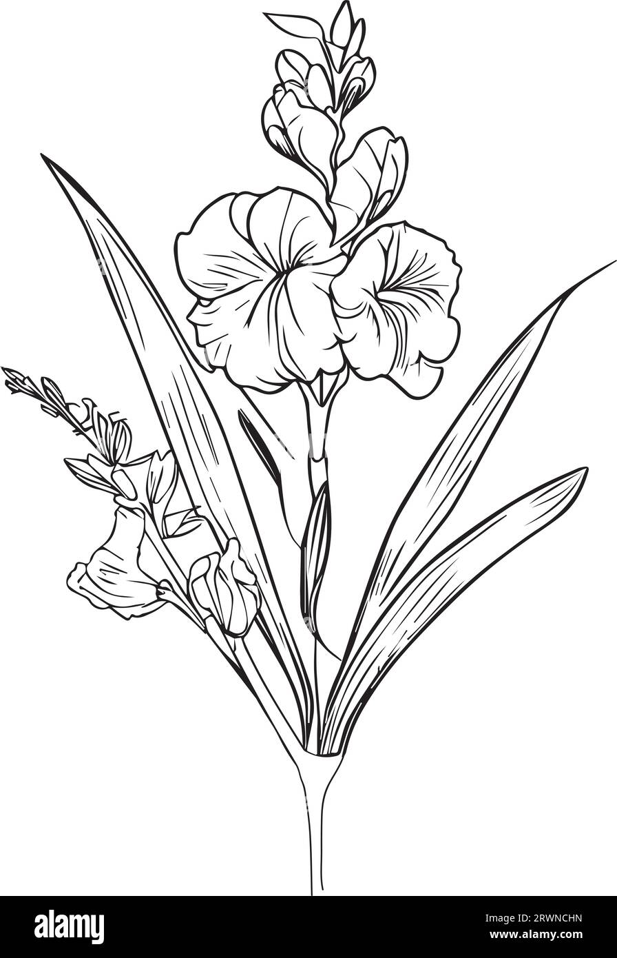 august birth flower, august birth flower tattoo, august birth flower