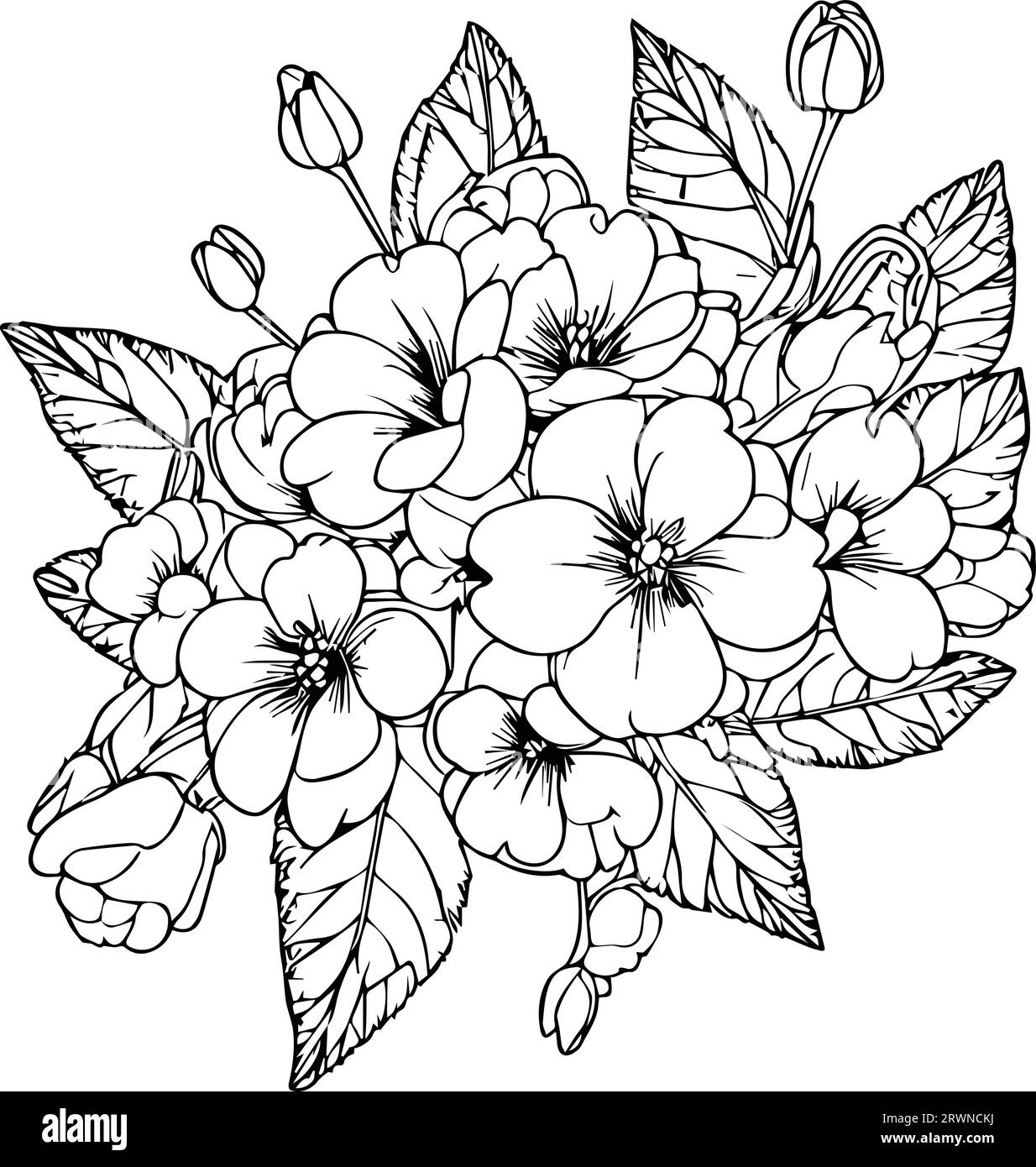 primrose engraved ink art, primula flower tattoo designs vintage