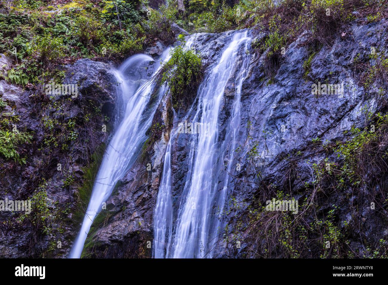 Closeup of Pfeiffer Falls, in Pfeiffer Big Sur State Park. Green vegetation clinging to the rocky face. Stock Photo
