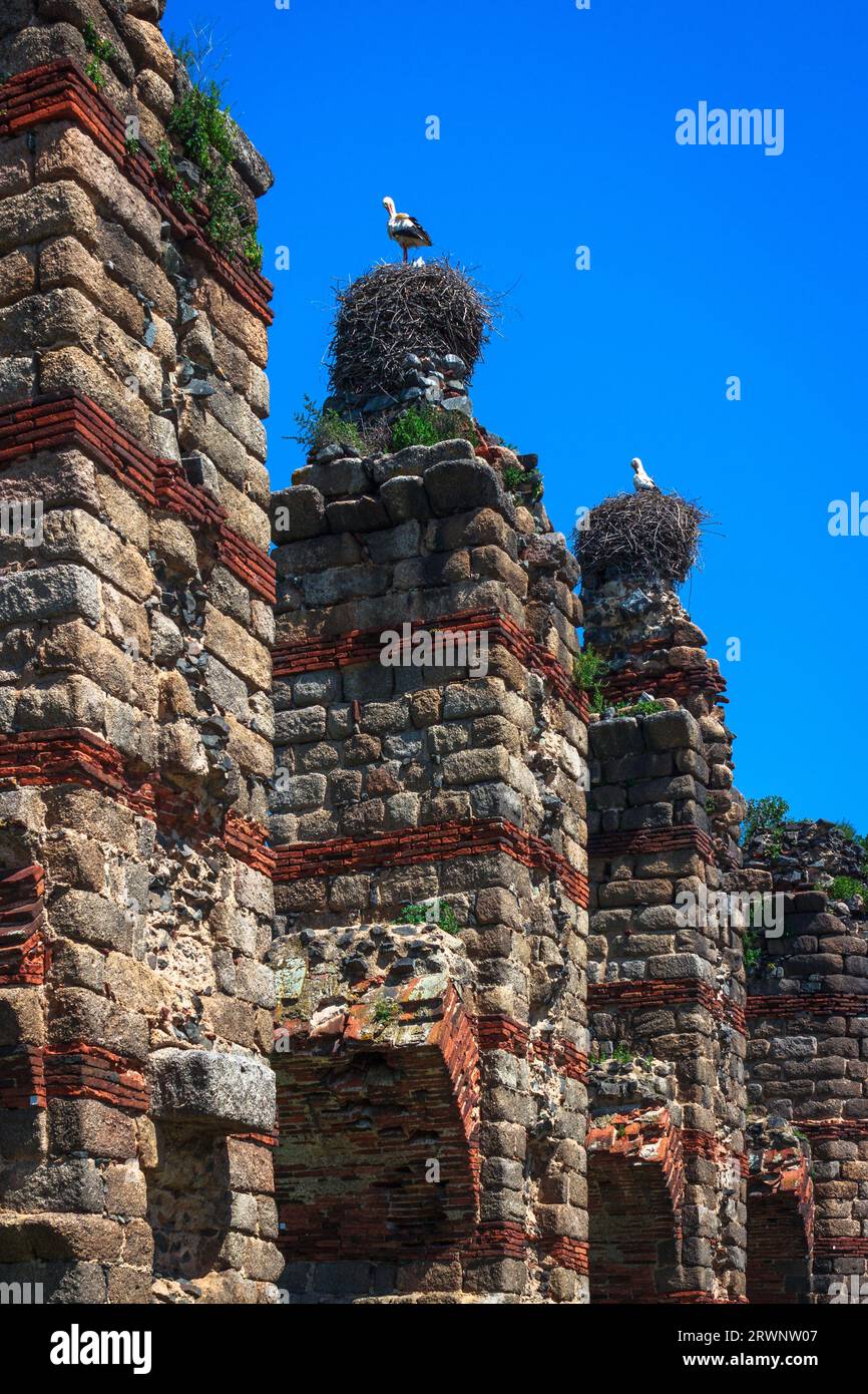 Storks nesting on pillars of ruined aqueduct Stock Photo