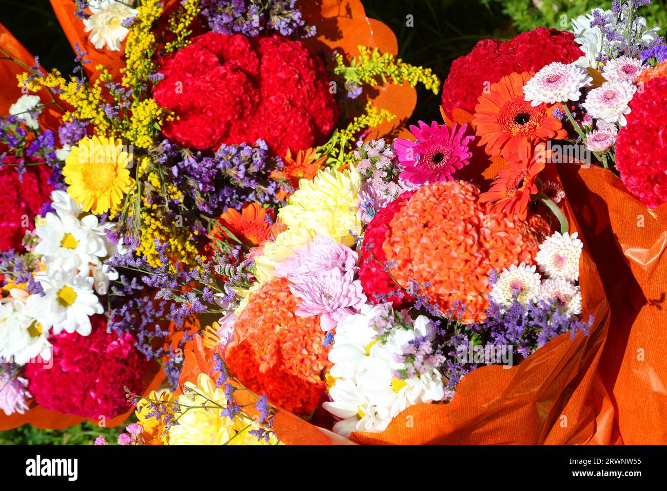 many varieties of fresh and dried flowers for sale at stall in outdoor