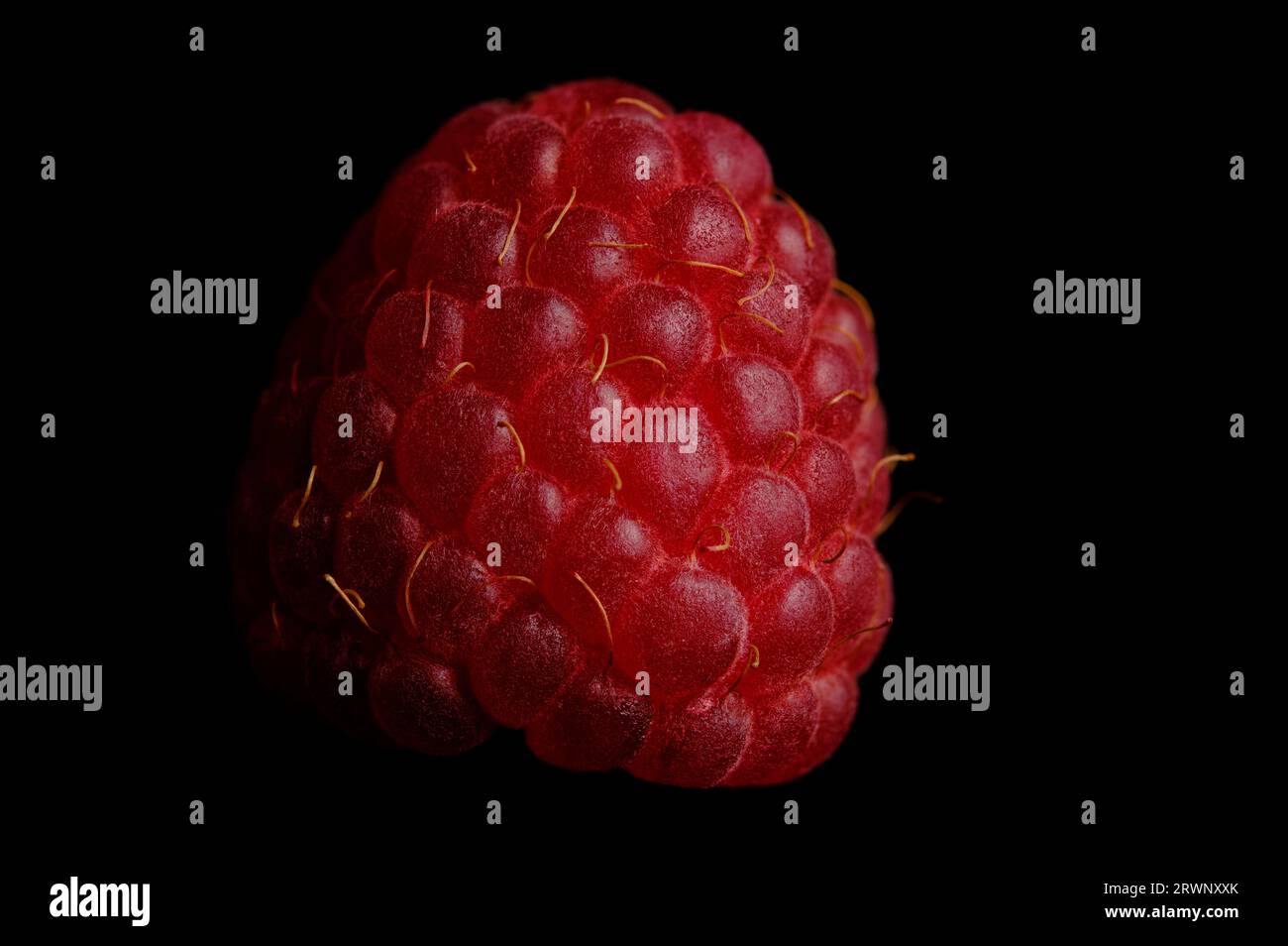 Burgundy raspberry hi-res stock photography and images - Alamy