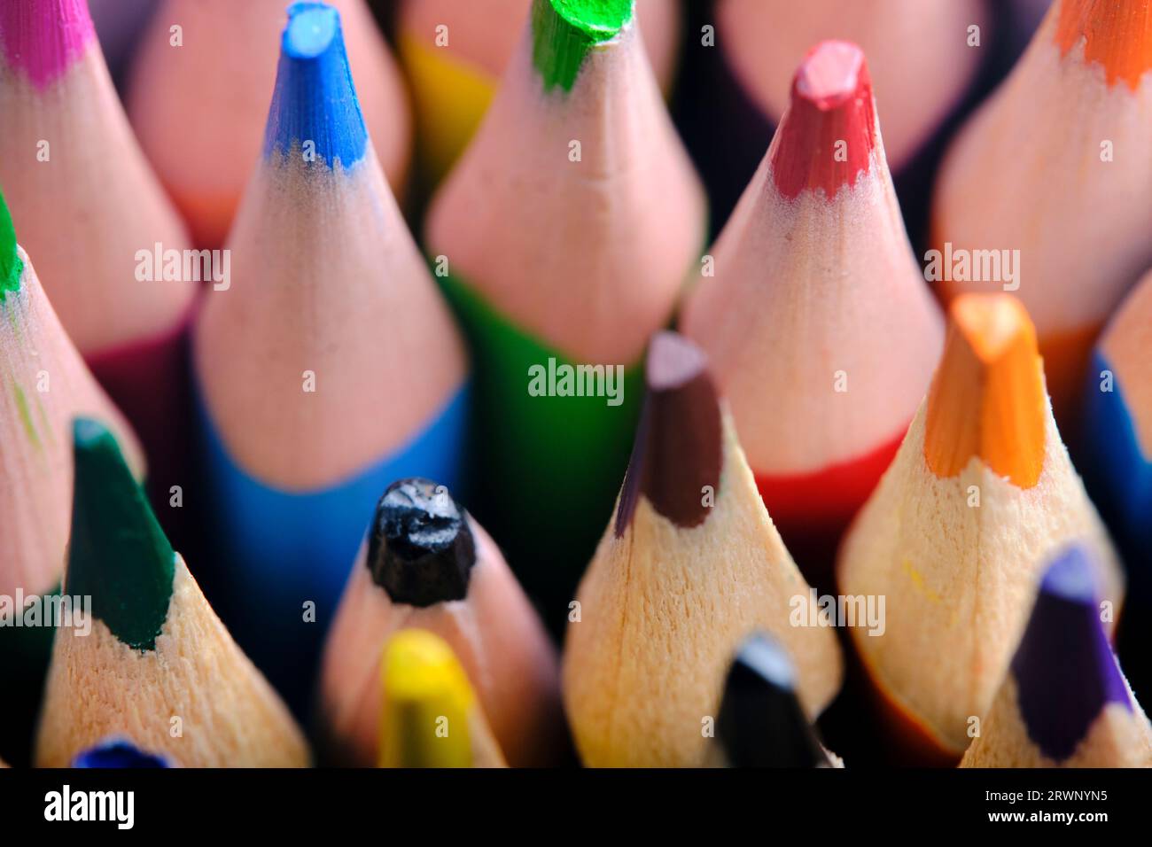Sharpened colored pencils closeup on macro photo Stock Photo
