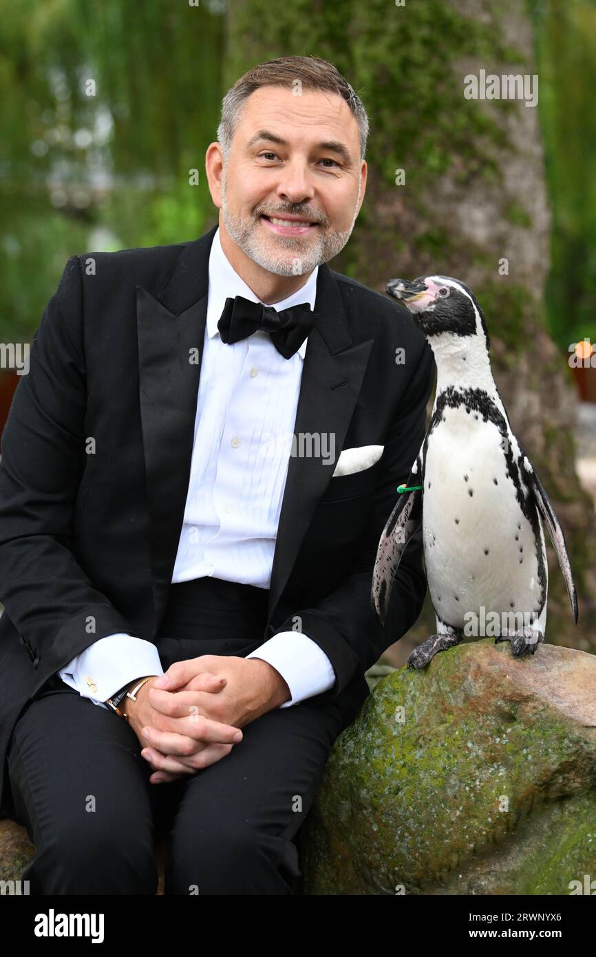 EDITORIAL USE ONLY David Walliams meets penguins as part of ZSL London