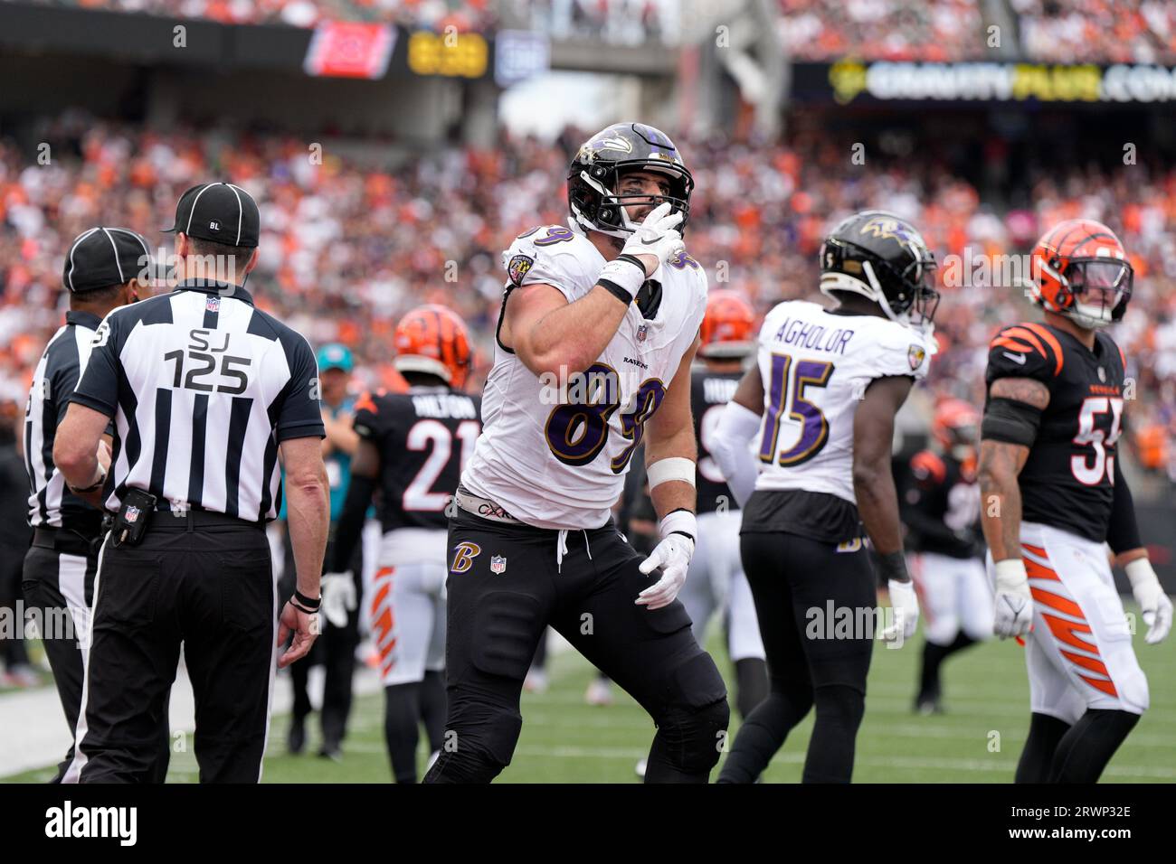 Cincinnati Bengals tight end Drew Sample (89) lines up for a play