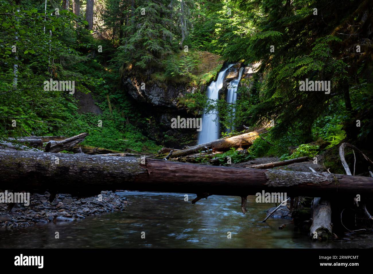Iron Creek plunges over Iron Creek Falls in the Gifford Pinchot National Forest near Mt. St. Helens Stock Photo
