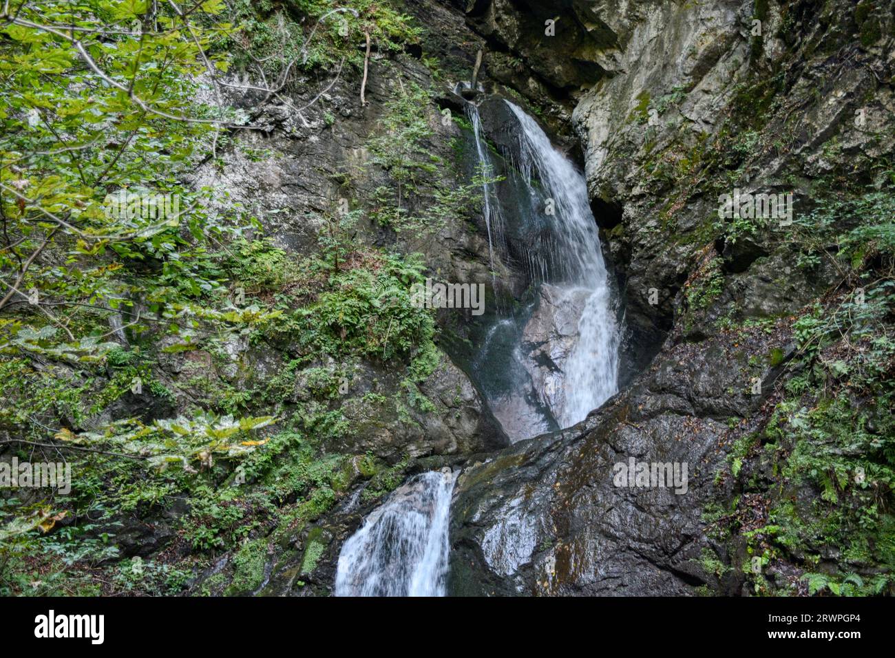 Arnoldstein, Wasserfall, Wald, Arnoldsteiner Wasserfall, Wasser, stürzen, fallen, Spritzen, vergessen, abgeschieden, weltabgeschieden, rauschen, rausc Stock Photo